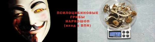 крисы Алексеевка