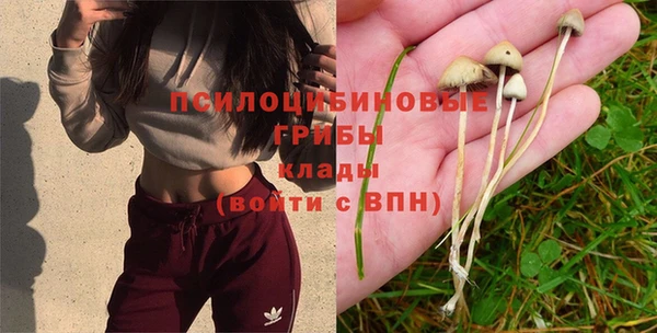 крисы Алексеевка