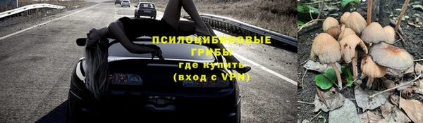 крисы Алексеевка