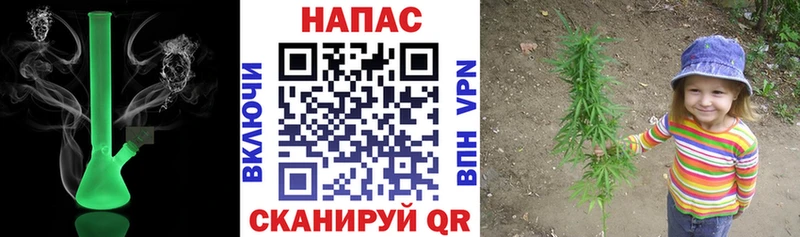 Купить закладки  Новотитаровская  Шишки марихуана планчик 